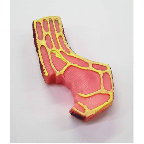 Trade Shop - SPIEL ROSA STEAK QUIETSCHIGER TON KUNSTSTOFF HUNDE HUND KAUEN ZÄHNE TIERE -