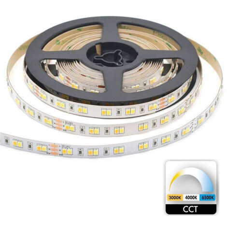 Trade Shop - STRISCIA 980LED 55W CCT DA 3000K TO 6500K 24V DIMMERABILE STRIPS BOBINA 5MT -