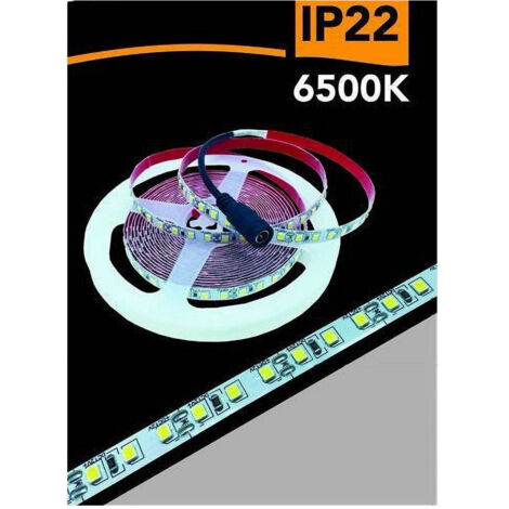 TRADE SHOP - Striscia Led 2835 Strip 5mt Bobina Luce 3000k 4000k 6500k Blu Ip22 2835-12v - -Bianco Freddo      -
