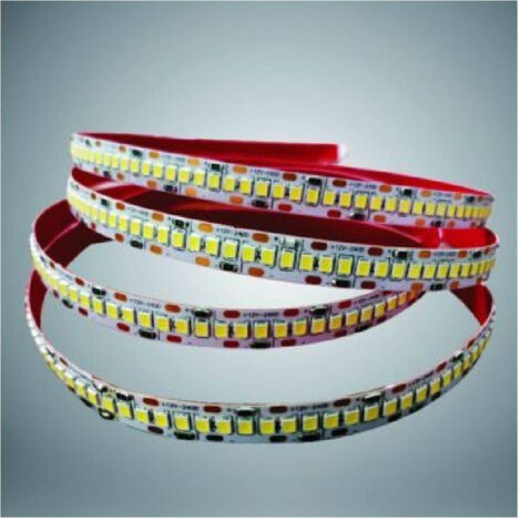 TRADE SHOP - Striscia Led Smd 2835 Alta Luminosità 5mt Luce 6500k 3000k 4000k 2835-24v-240 - -Bianco Freddo -