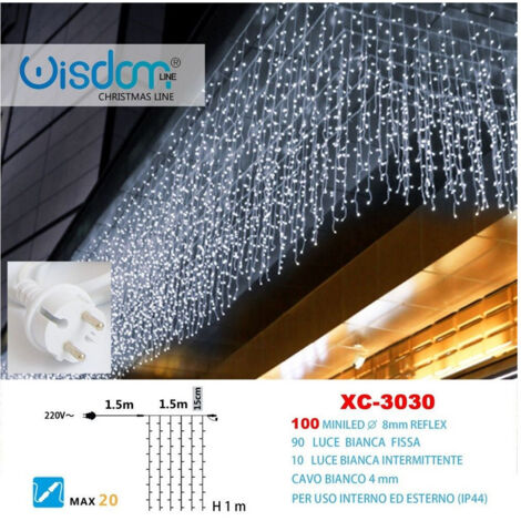 Trade Shop - Tenda Luminosa Natalizia 100led Luce Bianca Fissa + Bianca Intermittente Xc-3030 -