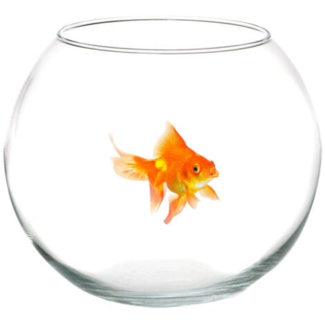 TrAdE Shop Traesio - Ampolla Boccia Per Pesci In Vetro 16 Cm Acquario Pesce Rosso Centrotavola -