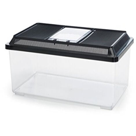 Acquario In Plastica Ferplast GEO FLAT 4L - Per Pesci, Tartarughe E Piccoli Animali - Foto 9