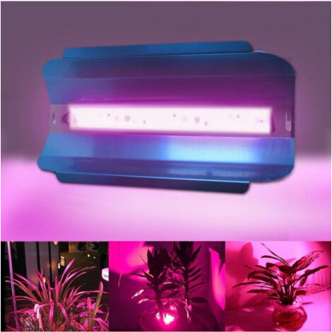 TrAdE Shop Traesio - Lampada Da Coltivazione Luce Led Smd Crescita Piante Serra Esterno 50w Ip65 220v -