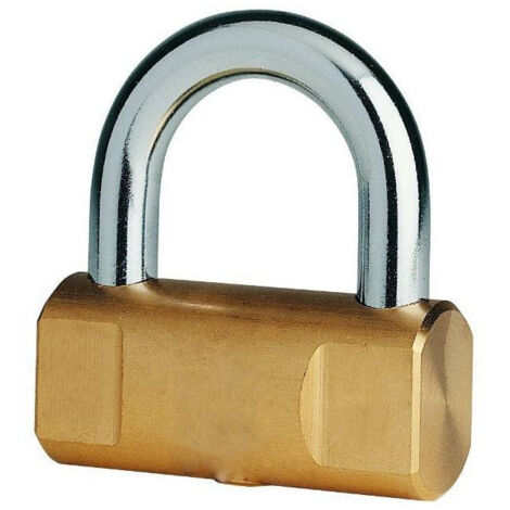 TrAdE Shop Traesio - Lucchetto Ad Arco Corto 80 Mm Corazzato Blocca Corona Moto Bici Nautico Marino -