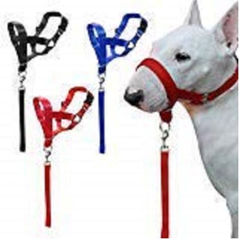 Museruola Per Cani Taglia Media Ferplast Safe Medium - Nylon Regolabile - Foto 6