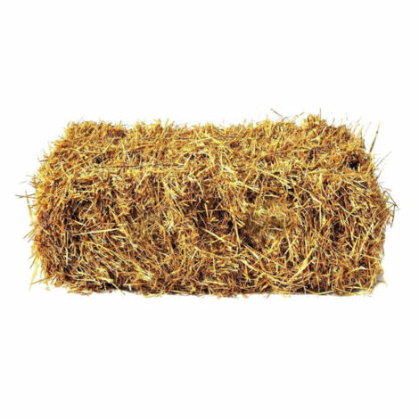 TrAdE Shop Traesio - Paglia Colore Legno Da 1kg Per Decorazioni Addobbi Presepe Cesti Da Regalo -