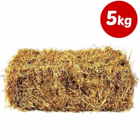 TrAdE Shop Traesio - Paglia Colore Legno Da 5 Kg Per Decorazioni Addobbi Presepe E Cesti Da Regalo -