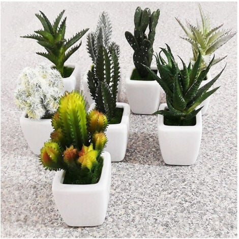 TrAdE Shop Traesio - Piantina Grassa Finta Vaso Ceramica Quadrato 5x11cm Decorazione Uffici Bomboniera -