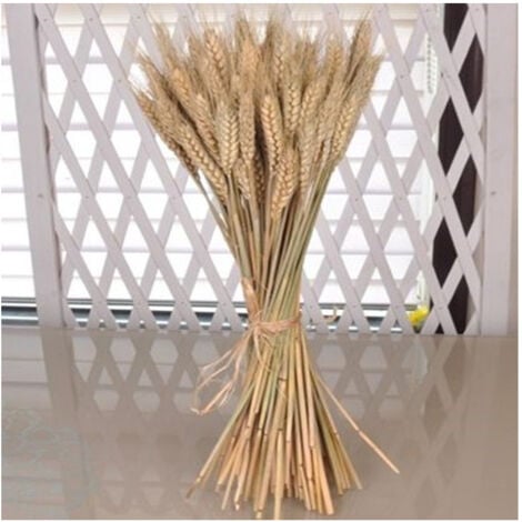 TrAdE Shop Traesio - Spighe Di Grano Fascio 80 Pezzi Colore Naturale Artificiali H92cm Decorazione -