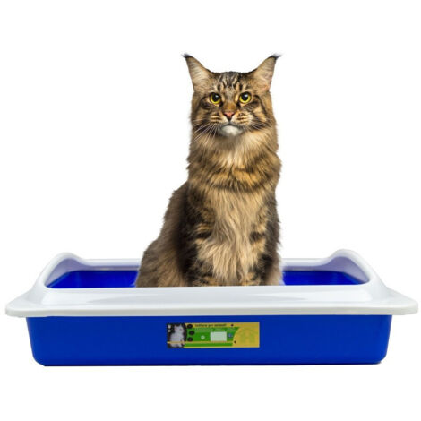 TRADE SHOP - Welkhome Lettiera Con Bordo Rialzato Smontabile Per Gatti Gatto 35 X 45 X 10 Cm -