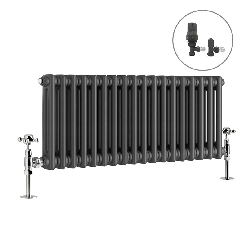 Image of Traditional Radiator Anthracite Cast Iron Style&hellip;