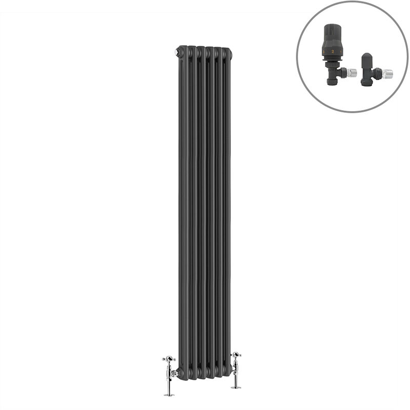 Image of NRG - Traditional Radiator Anthracite Cast&hellip;