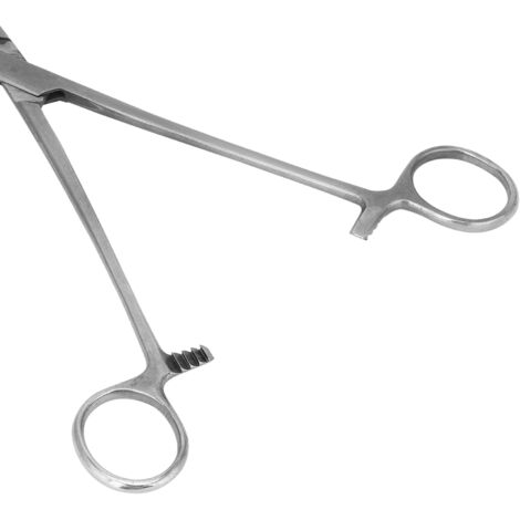 Tragbare chirurgische Hämostasezange aus Edelstahl, 22 cm/8,7 Zoll, mit gebogener Spitze, für Viehzucht und Fischerei, neu, 1 Stück.