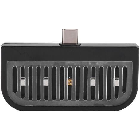 Tragbare, kompakte UV-Lampe, USB-C-Anschluss, leicht, effiziente UV-Reinigung, Schwarz