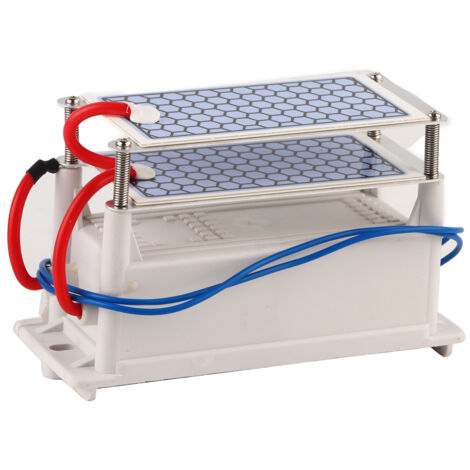 Tragbarer Ozongenerator 10 g/h 110 V mit integrierter Keramikplatte zur Luftsterilisation