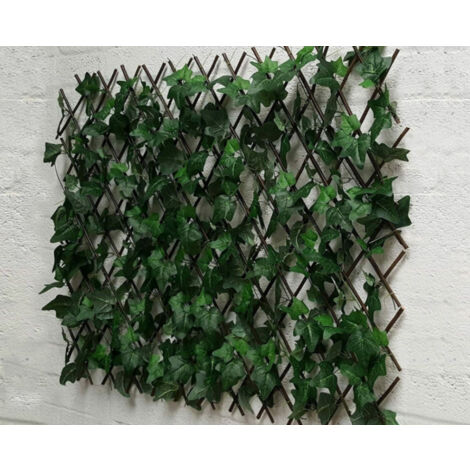 Traliccio Edera Rampicante Verde Frangivista Recinzione Giardino Balcone 1x2mt