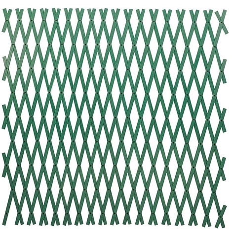 Traliccio Estensibile in Pvc colore Verde 3X1 Mt tipo rinforzato