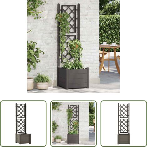 Traliccio -  Fioriera da Giardino con Graticcio 43x43x142 cm PP Antracite