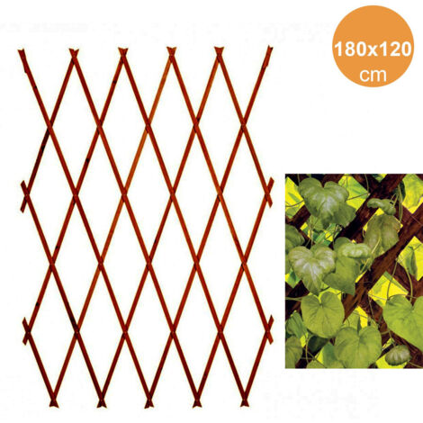 Translation Estensible Par Piante 180x120c M