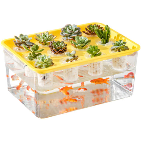 Transparentes Kunststoff-Aquarium für Hydrokultur mit Deckel und 12 Pflanztöpfen für Balkongarten und Fischzucht (gelber Deckel)