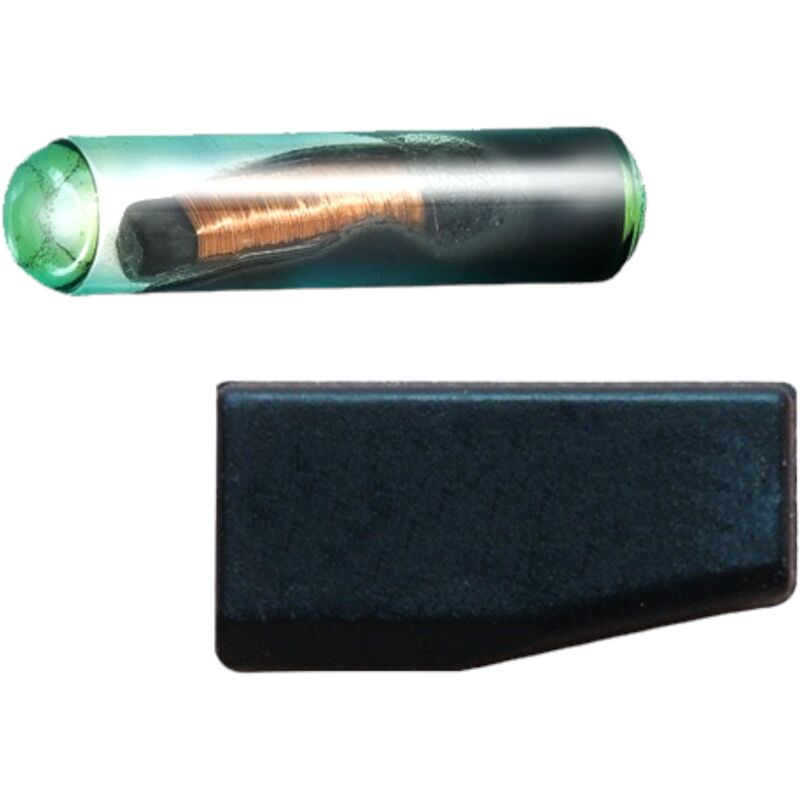 Fraschetti - puce transpondeur 't5' paquet de 5 pièces