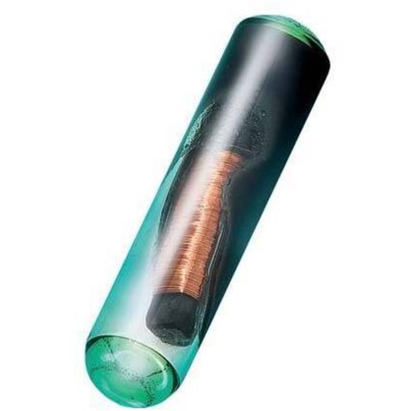 Fraschetti - puce du transpondeur 't33'