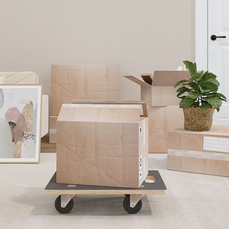 Transport Trolleys 2 pcs Rectangular 50x35x11.5 cm vidaXL