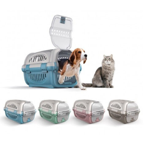 Transports Dans Le Modèle Plans Pour Le Gatt Cani Et Viaggio
