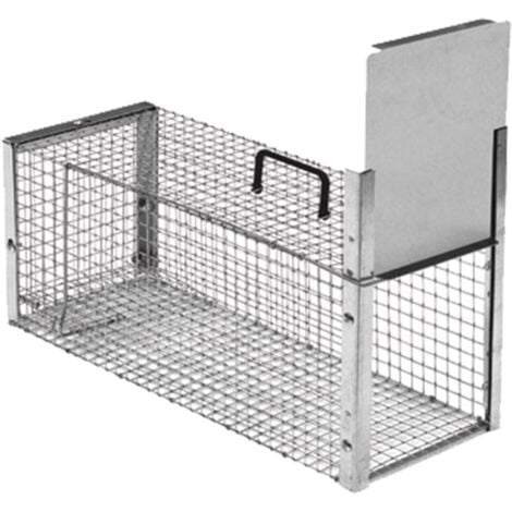 TRAPPOLA PREDATORI A GALLERIA NOVITAL