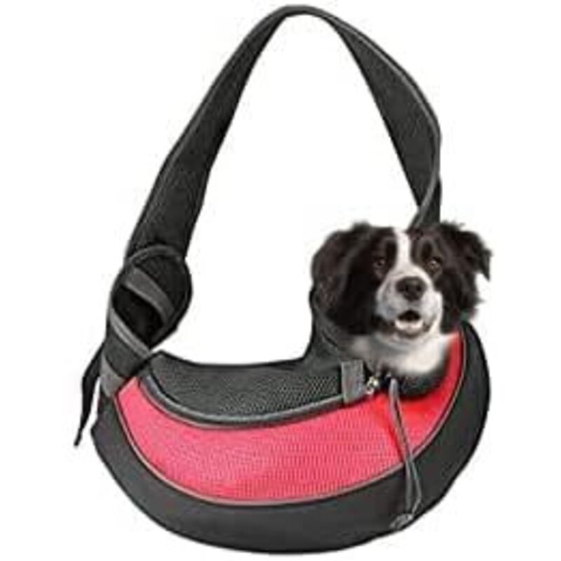 Trasportino per cani di piccola taglia Trasportino per gatti Trasportino in rete traspirante Borsa a mano libera fino a 10 libbre Regalo (grande,