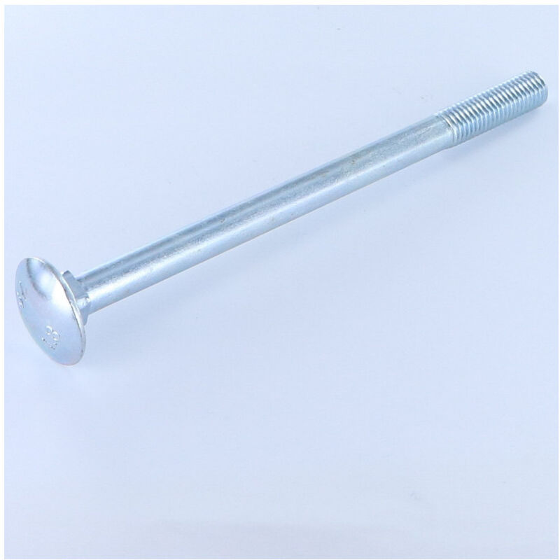 Trcc japy tête ronde collet carré Filetage partiel M12X120 Acier zingué-20 pièces