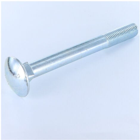 TRCC JAPY tête ronde collet carré Filetage partiel M16X100 Acier zingué-100 pièces