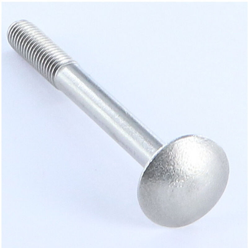 Vis Express - Rivet à frapper Tête ronde tr Inox A2 5X12-200 pièces