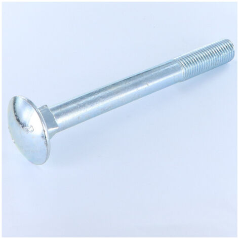 TRCC JAPY tête ronde collet carré M16X100 Filetage partiel Acier zingué-5 pièces