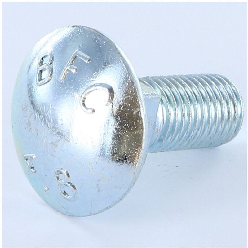 Trcc japy tête ronde collet carré M16X45 Filetage total Acier zingué-20 pièces