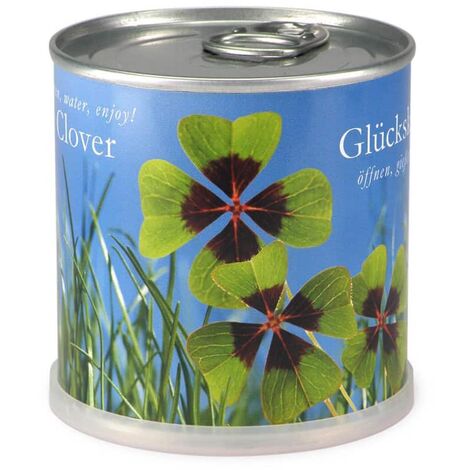 Trèfle à 4 feuilles à faire pousser en boite. Multi. Marque : Mac Flower's. Réf. : 89050