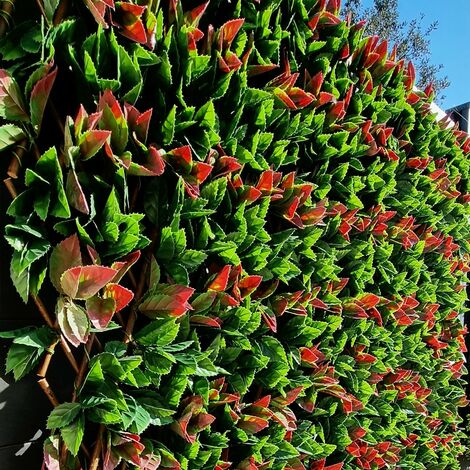 Treillis Bois Jardin Extensible Feuille de Photinia MGS