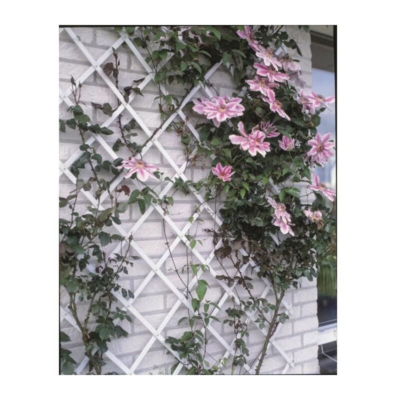 Treillis extensible plastique vert - 50x150cm