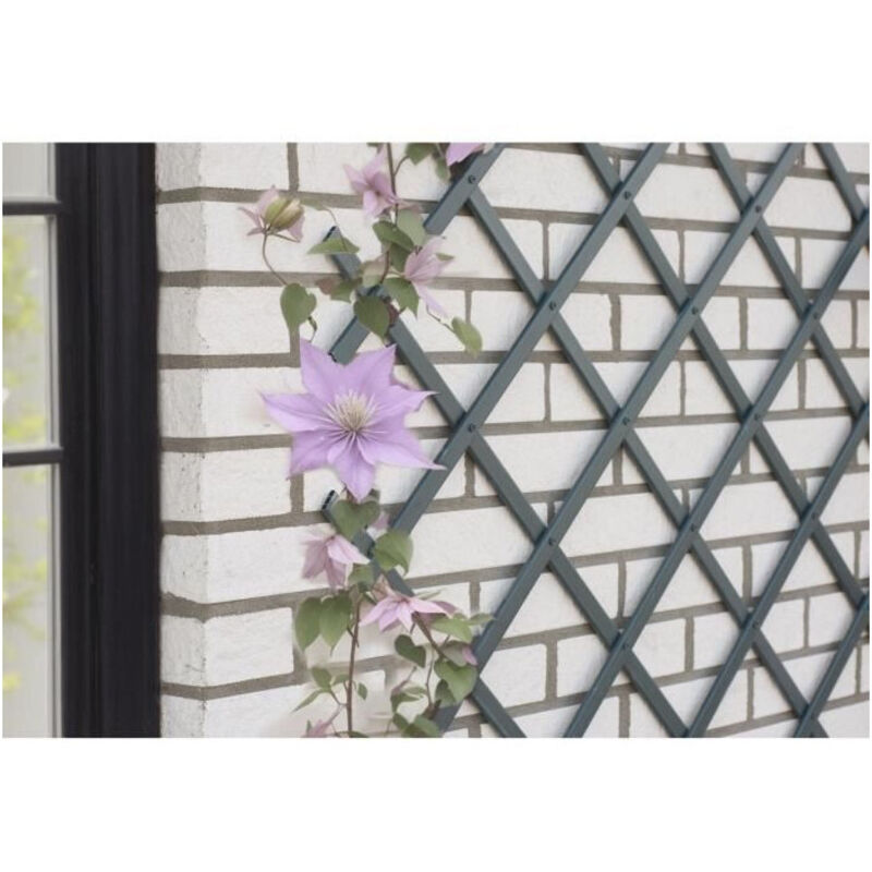 Vidaxl - Nature Treillis de jardin 50x150 cm pvc anthracite