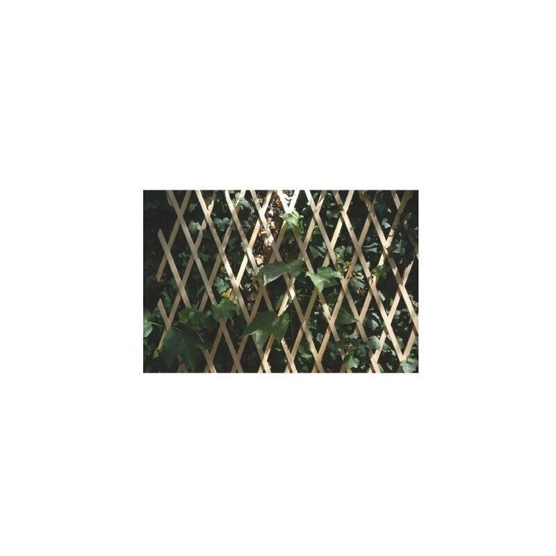 Finish - Treillis de décoration murale 1 x 2