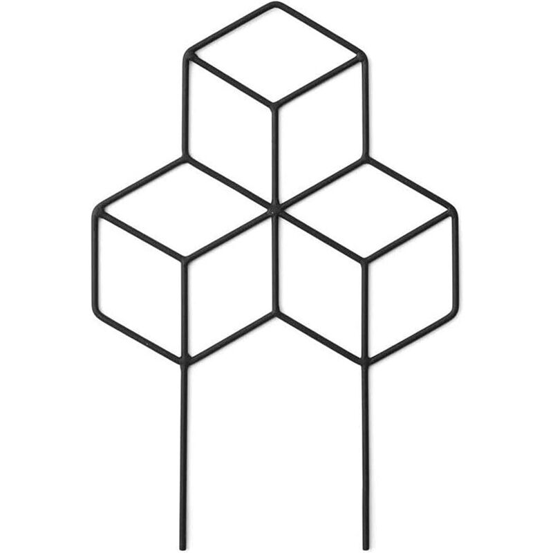 Treillis de jardin en métal pour plantes grimpantes, support de plantes en fer pour vigne grimpante.