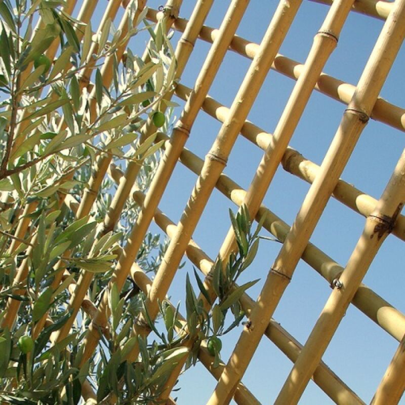 Treillis bambou naturel diamètre 2 cm 100 x 100 cm - Bambouland
