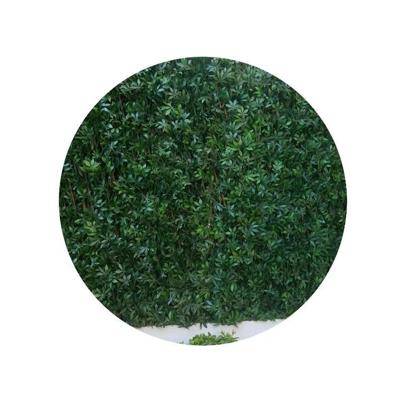 Treillis en bois de saule et feuilles de vigne vierge artificielles (1 x 2 m) - Vert