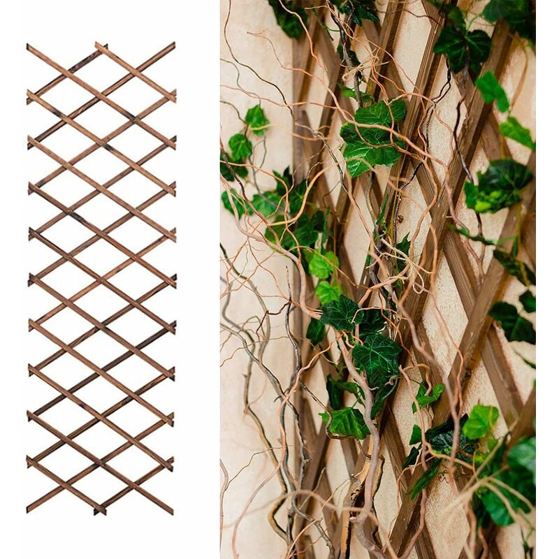 Linghhang - Treillis en bois Treillis en bois de clôture extensible de 180 cm x 25 cm pour plantes grimpantes - Transformez votre jardin avec nos