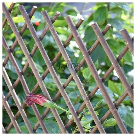 Treillis en osier de 100 x 200 cm, pour les plantes grimpantes. Utile pour les jardins, les clôtures, la décoration, le support