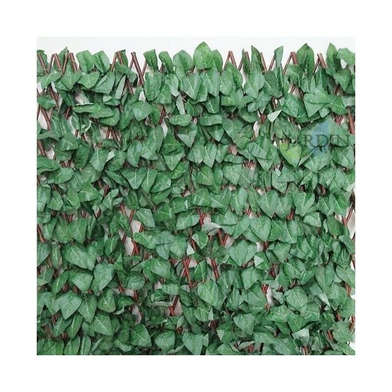Treillis en osier extensible avec des feuilles d'érable. 1 x 2 mètres.