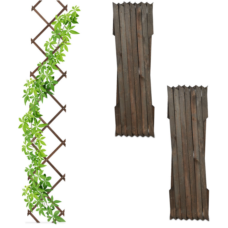 Relaxdays - Tuteur à tomates, en lot pratique de 3, extensible, bois de sapin, pour le mur, 180 x 30 cm, marron