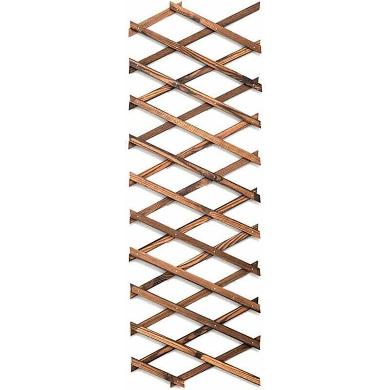 Gabrielle Treillis extensible en bois à suspendre pour plantes grimpantes - Décoration murale pour terrasse et jardin