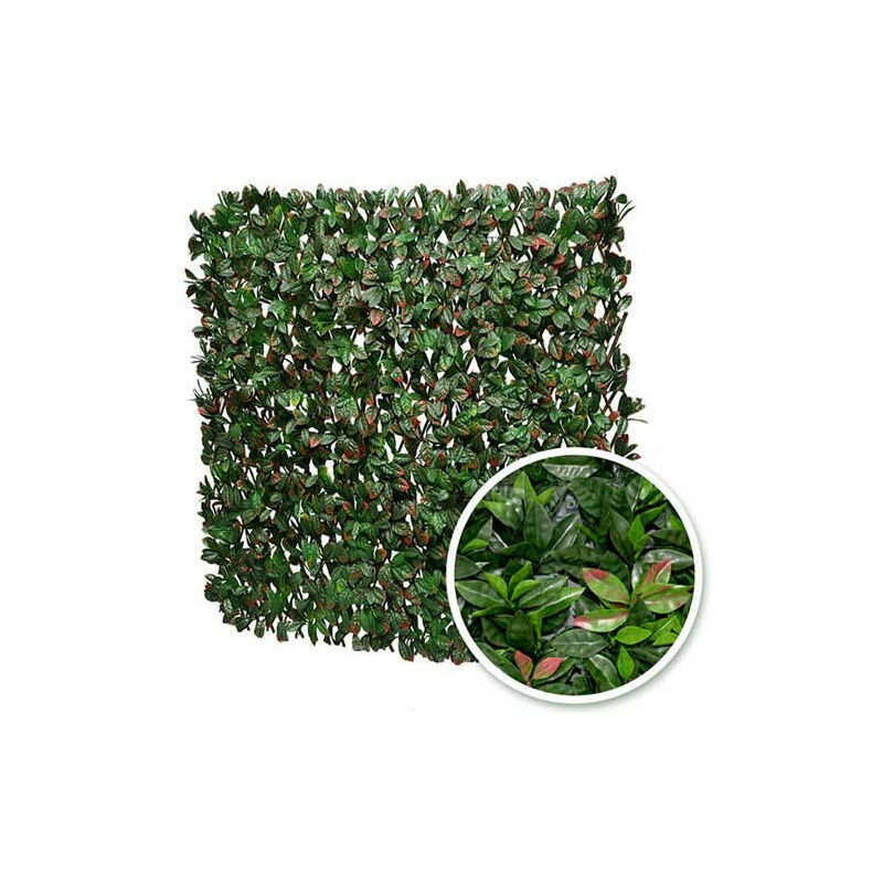 James Grass - Treillis extensible feuillage photinia, l 2 m, Hauteur 1 m - vert